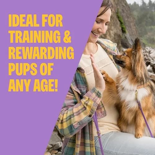 Wellness Soft Puppy Bites Dog Training Treats Lamb & Salmon Recipe 227 g (8 oz) | Grain-Free DHA for Brain Development thumbnail 2