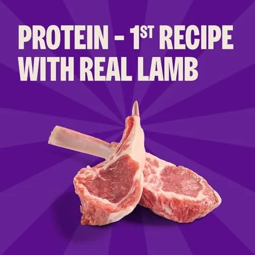 Wellness Soft Puppy Bites Dog Training Treats Lamb & Salmon Recipe 227 g (8 oz) | Grain-Free DHA for Brain Development thumbnail 3