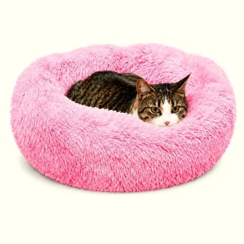 Whiskers & Friends Pink Gradient Donut Cat & Small Dog Bed 58cm (23" x 23" x 7") | Cozy Orthopedic Support for Anxiety Relief thumbnail 1