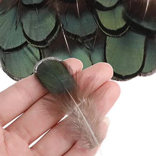 MWOOT Assorted Craft Feathers 180Pcs | Natural Chicken Feathers for DIY Crafts & Decorations thumbnail 4