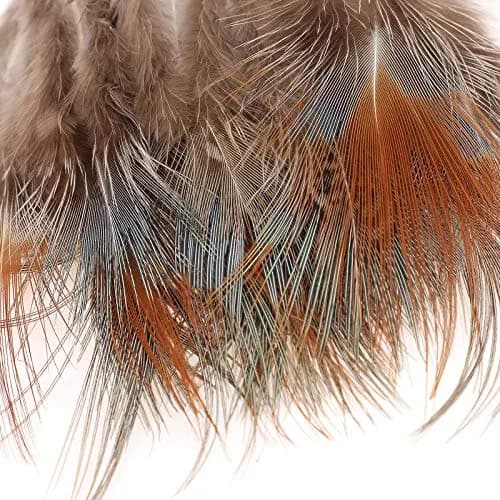 MWOOT Assorted Craft Feathers 180Pcs | Natural Chicken Feathers for DIY Crafts & Decorations thumbnail 5