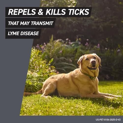 Frontline Shield Flea & Tick Treatment for Large Dogs 41-80 lbs. | Waterproof Monthly Protection thumbnail 5