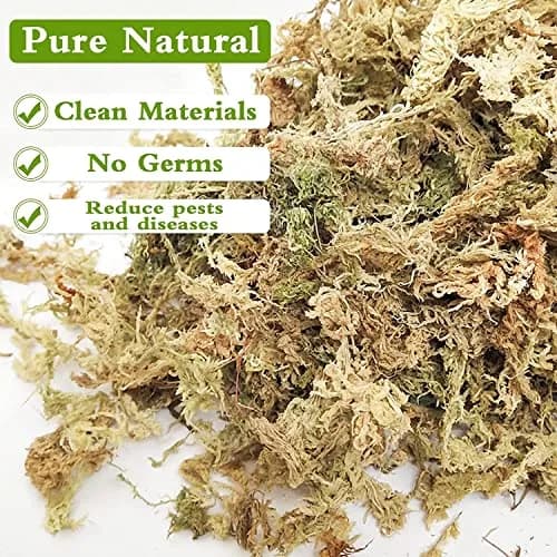 Legigo 4 QT Natural Sphagnum Moss Potting Mix | Moisture-Retentive for Orchids & Carnivorous Plants thumbnail 3