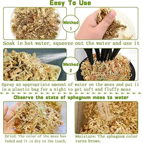Legigo 4 QT Natural Sphagnum Moss Potting Mix | Moisture-Retentive for Orchids & Carnivorous Plants thumbnail 4