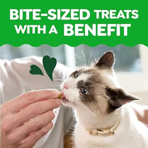 Greenies Cat Treats, Feline Smartbites, Skin & Fur Health, 16 oz. Tub | Crunchy & Soft Chicken Flavor for Healthy Skin & Fur thumbnail 6