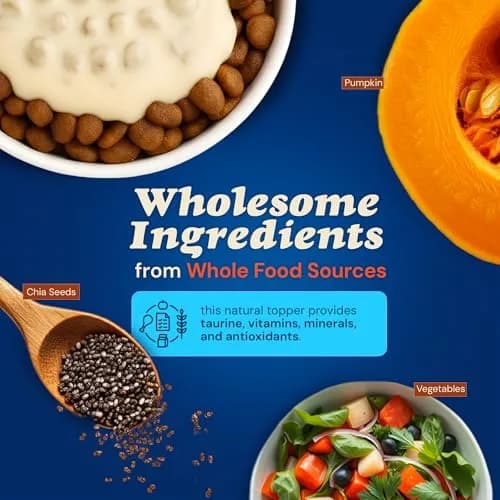 CLEAR CONSCIENCE PET® Arfredo SuperGravy Dog Food Topper Hydration Broth Mix Greek Yogurt Cheese Blend 9 oz. | All Life Stage thumbnail 3