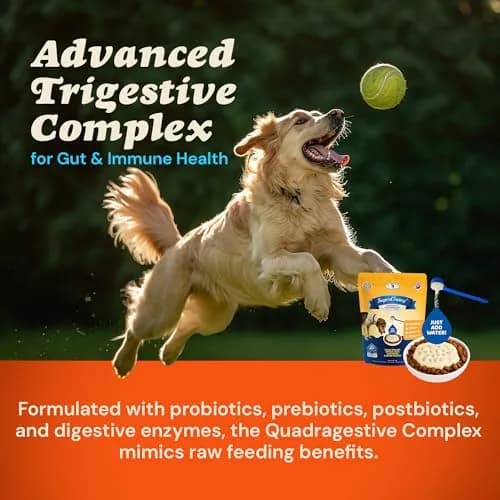 CLEAR CONSCIENCE PET® Arfredo SuperGravy Dog Food Topper Hydration Broth Mix Greek Yogurt Cheese Blend 9 oz. | All Life Stage thumbnail 4