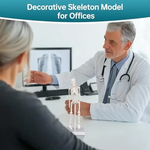 Ultrassist Human Skeleton Model, 7.8" Anatomy Skeleton Figure, Movable Joints, Teaching & Decor thumbnail 5