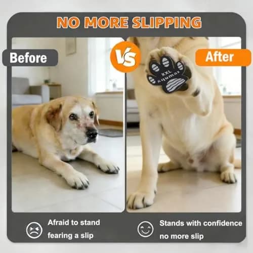 Aqumax Anti-Slip Pads for Dogs | Traction & Stability on Hardwood Floors (XXL-6.5cm x 6cm) thumbnail 6