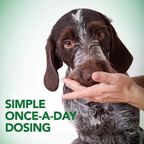 Vet's Best Probiotic Soft Chews for Dogs 90 Count | Digestive & Gut Health Support thumbnail 4