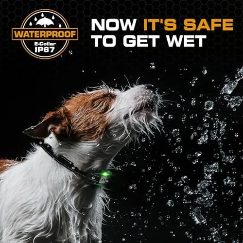 INVIROX 2026 Edition Dog Training Collar with Remote, 123 Levels, 3300ft Range, IP67 Waterproof | Professional E-Collar for Large Dogs thumbnail 4