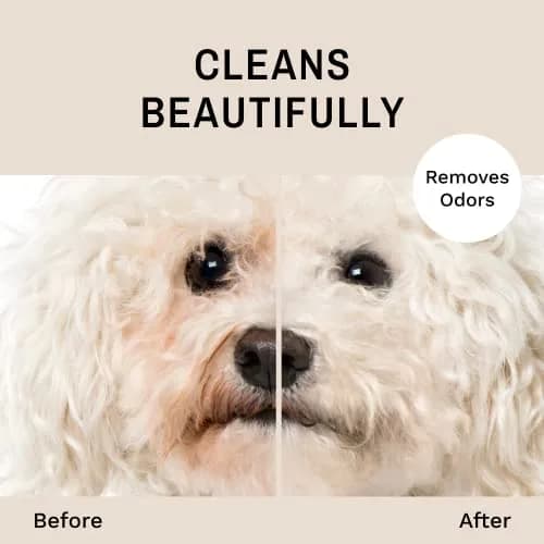 Eye Envy Tear Stain Facial Cleanser for Dogs & Cats 3.78 L (1 US Gallon) | Gentle Foaming Formula for Eye Debris & Discharge thumbnail 2