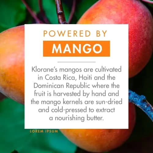 Klorane Nourishing Shampoo Bar with Mango 2.8 Oz | Deeply Nourishes & Hydrates Dry Hair thumbnail 3