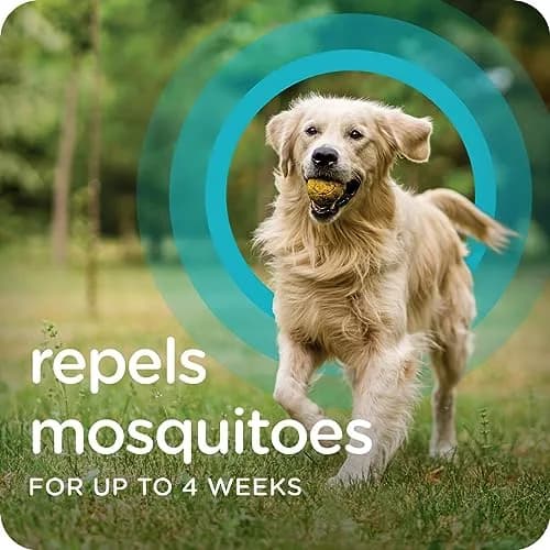Sergeant's Guardian Flea & Tick Topical for Dogs 66+ lbs | 3-Month Protection, Quick-Dry Formula thumbnail 5