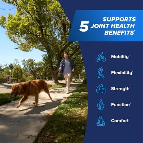 Osteo Bi-Flex One Per Day Vitamin D Supplement, 130 Coated Tablets | Supports Bone & Joint Health thumbnail 5