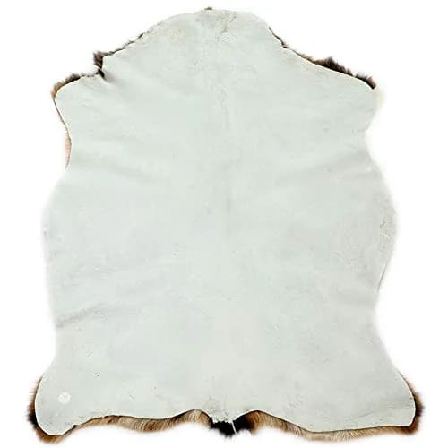 Asuprui Red Deer Hide Rug 0.98m x 0.64m (3.2ft x 2.1ft) | Authentic Animal Skin Carpet for Bedroom thumbnail 5
