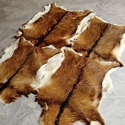 Asuprui Red Deer Hide Rug 0.98m x 0.64m (3.2ft x 2.1ft) | Authentic Animal Skin Carpet for Bedroom thumbnail 6