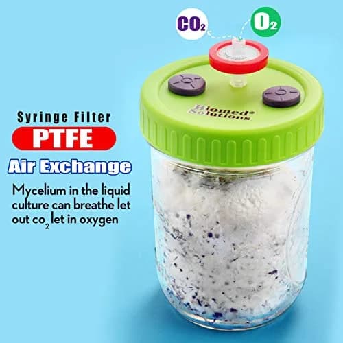 Biomed Solutions 86mm Wide Mouth Mushroom Lid | Food Grade PP, Green, 6 pcs thumbnail 5