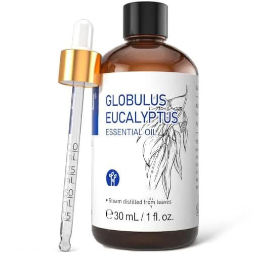 HIQILI Eucalyptus Essential Oil 30ml (1.01 Fl Oz) | Steam Distilled for Aromatherapy & DIY thumbnail 1