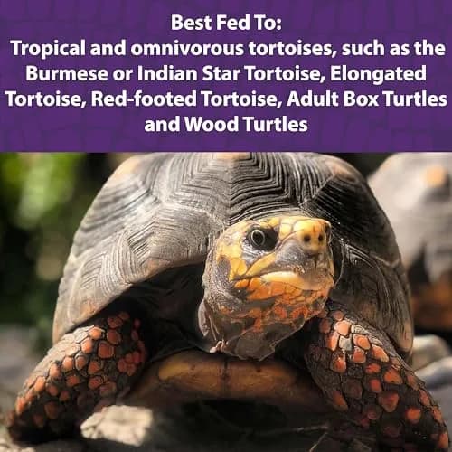 Mazuri Tortoise Diet Pellets 20 oz (567 g) | For Tropical & Forest Tortoises thumbnail 3