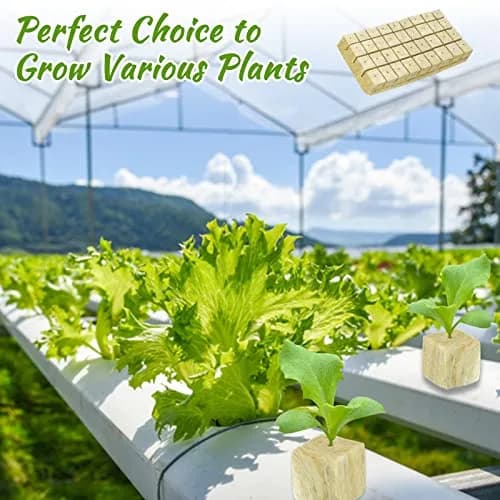 Legigo Rockwool Cubes Seed Starter Plugs 1 Inch (2.54cm) for Hydroponics, 300 Plugs | Premium Basalt Fiber for Rooting thumbnail 5