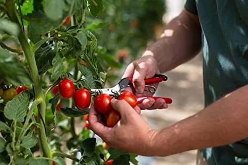 FELCO F321 Pruning Snips – 7" Garden Clippers with Curved Blade & Rounded Tip | Carbon Steel Shears for Gardening thumbnail 2