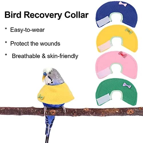 Haomian 4 Pack Soft Bird Elizabethan Collars for Small Parrots | Adjustable Cotton Recovery Cone thumbnail 6