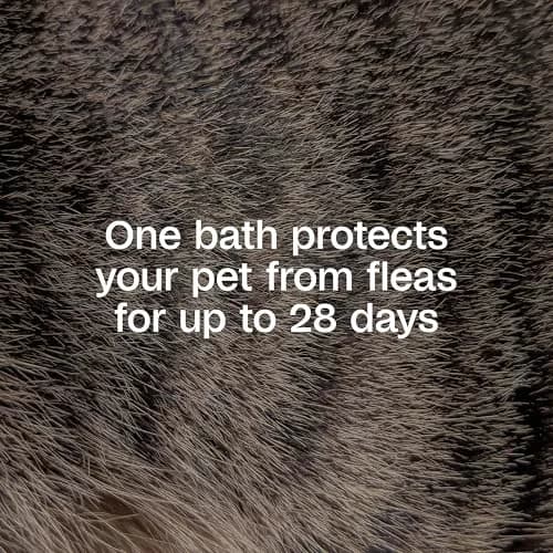 ADAMS Plus Flea & Tick Shampoo with Precor 177ml (6 Fl Oz) | Kills Fleas, Ticks, Eggs & Lice thumbnail 3