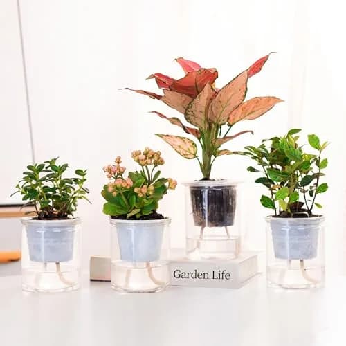 ORIMERC 15ft Self-Watering Capillary Wick Cord for Plants | Automatic Watering System for Hydroponics & Seedlings thumbnail 4