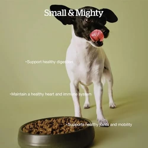 Now Fresh Small Breed Senior Dry Dog Food, Turkey, Salmon & Duck, 3.5 lb | Supports Joint & Digestion thumbnail 2