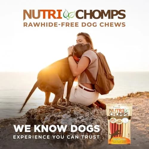 Nutri Chomps Rawhide Free Dog Chews, Chicken/PB/Milk, 15ct, 2pk | Digestible, Flavorful & Nutrient-Rich thumbnail 6