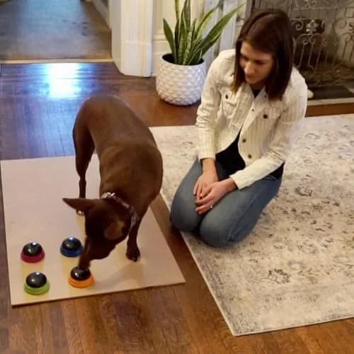 Hunger for Words Talking Pet Starter Set - Dog Buttons for Communication, 4 Recordable Buttons | Developed by Speech Therapist Christina Hunger thumbnail 6