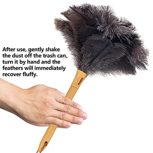 Aldwin Genuine Ostrich Feather Duster with Wood Handle, 41cm (16 inch) | Natural Gray Fluffy Duster for Home & Car thumbnail 5