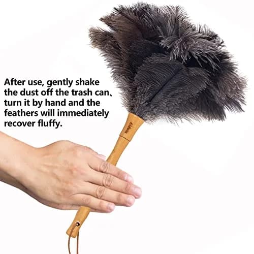 Aldwin 16" Gray Ostrich Feather Duster with Wooden Handle | Reusable & Washable Cleaning Tool thumbnail 5