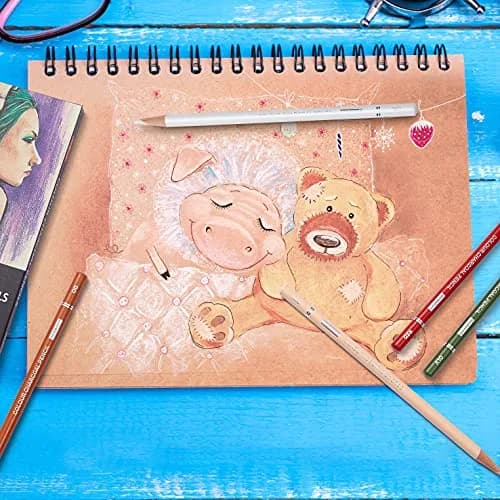 PANDAFLY Professional Colored Charcoal Pencils Drawing Set 12 Colors | Non-Toxic Art Drawing Pencils thumbnail 8