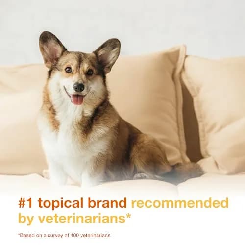 Douxo S3 PYO Medicated Dog Mousse 150 mL | Supports Bacterial & Yeast Skin Infections thumbnail 3