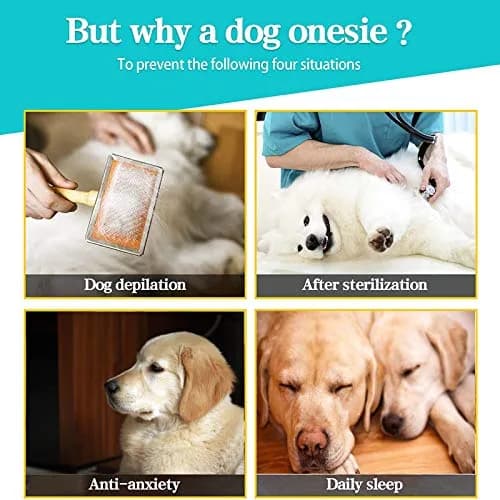 Yeapeeto Dog Recovery Suit After Surgery Medium Large | Post-Op Pet Clothing for Large Breeds thumbnail 7