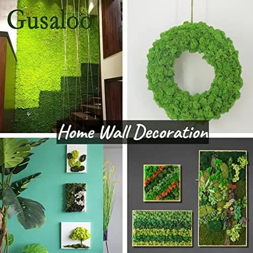 Gusaloo Preserved Moss for Potted Plants 3.5oz | Long-Lasting Green Moss for Craft & Decor thumbnail 4