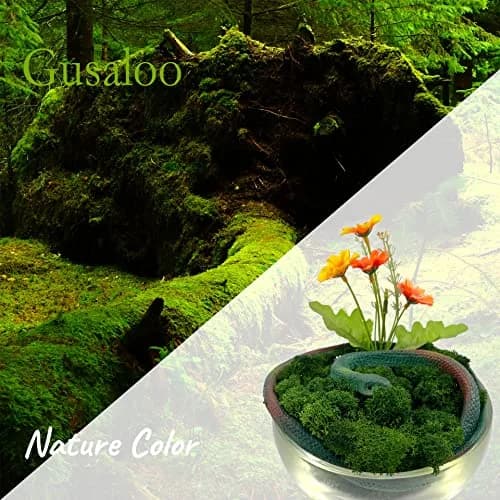 Gusaloo Preserved Moss for Potted Plants 3.5oz | Long-Lasting Green Moss for Craft & Decor thumbnail 2
