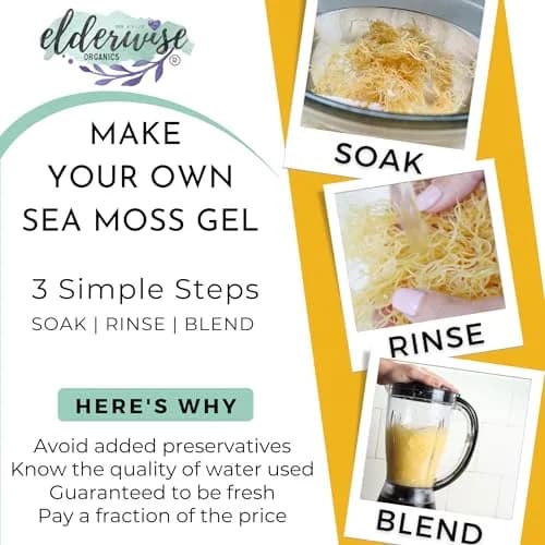 Elderwise Organics Golden Sea Moss 2.5oz (70.87g) | Wildcrafted Gracilaria for Gel & Smoothies thumbnail 2