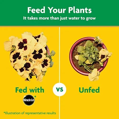 Miracle-Gro Water Soluble All Purpose Plant Food 2.27 kg (5 lb) | Feeds All Plants Instantly thumbnail 9