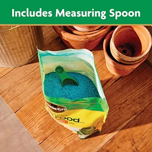Miracle-Gro Water Soluble All Purpose Plant Food 5.5 lb (2.49 kg) | Feeds All Plants Instantly thumbnail 3
