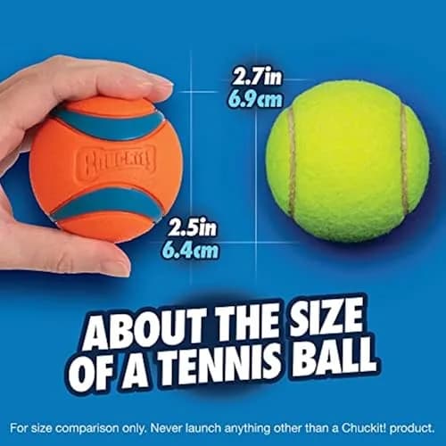 Chuckit! Ultra Ball Dog Toy 8-Pack with Bucket - Medium (6.4 cm) | Durable Rubber Fetch Balls for Dogs 20-60 lbs thumbnail 4
