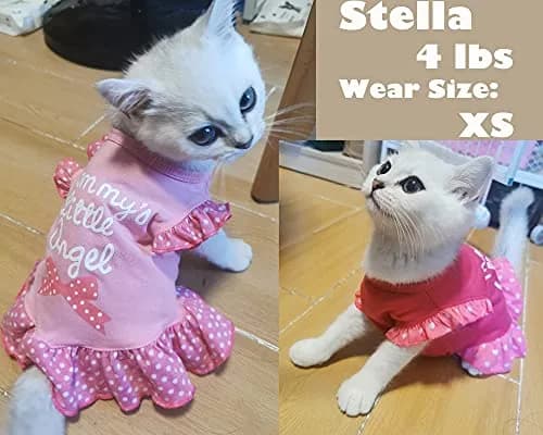 XPUDAC Small Dog Dress 4 Pack | Cute Pink Angel Pet Apparel for Small Dogs & Cats thumbnail 5