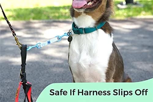 Gentle Creatures Collar Companion Waterproof Dog Safety Backup Clip 18cm (7") | Secure Anti-Escape Backup Clip thumbnail 5