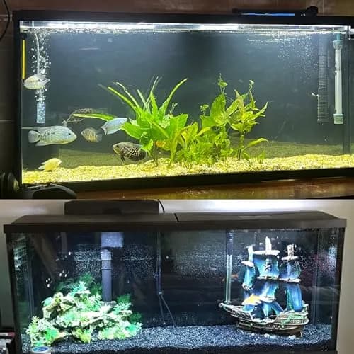 ELEBOX Aquarium Background Blue Black Fish Tank Background 12"x 32" | Vibrant HD Image for Aquarium Depth thumbnail 4