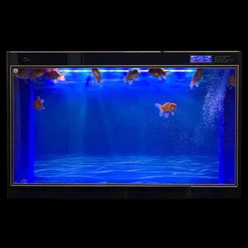 ELEBOX Aquarium Background Blue Black Fish Tank Background 12"x 32" | Vibrant HD Image for Aquarium Depth thumbnail 7