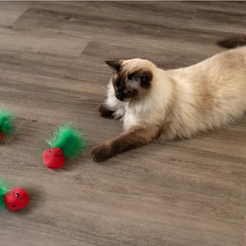 Catstages Strawbabies Dental Cat Chew Toy 3-Pack | Catnip & Feathers for Play & Dental Health thumbnail 8
