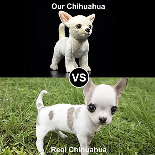 ZHONGXIN MADE 10-inch Simulation Chihuahua Dog Plush Toy - Soft, Non-Toxic, Cute Gift thumbnail 5