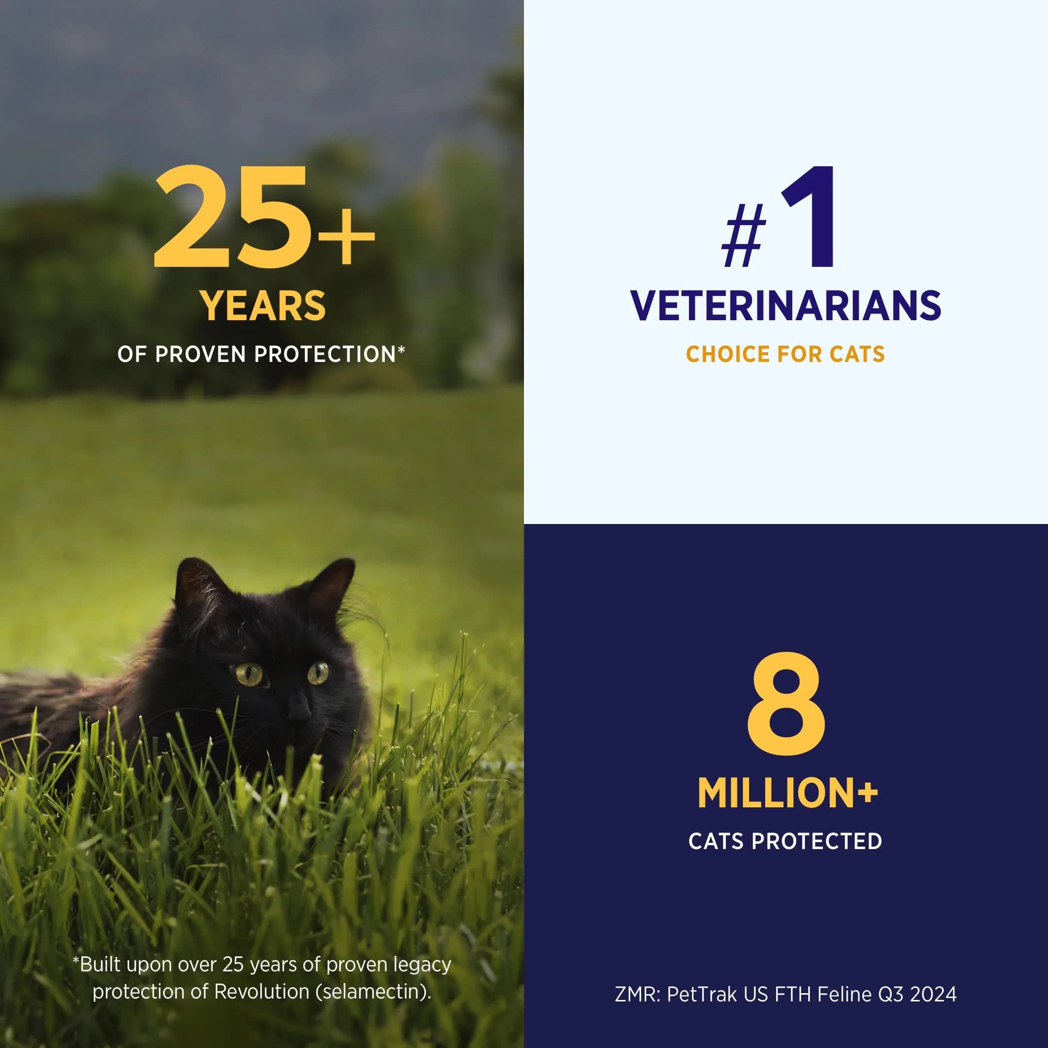 Revolution Plus Topical Solution for Cats 11.1-22 lbs | 7-in-One Parasite Protection thumbnail 4
